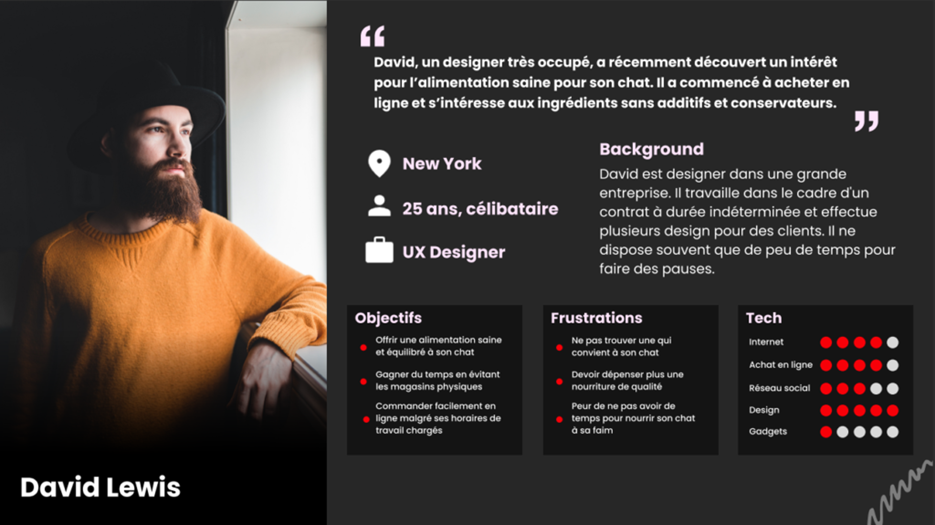 Persona Cats Kitchen